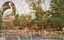 42733083 Zoo New York Flying Cage  comprar usado  Enviando para Brazil
