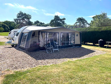Isabella ambassador moonlight for sale  NOTTINGHAM