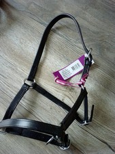 Foal leather headcollar for sale  WOTTON-UNDER-EDGE
