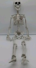 Halloween scary skeleton for sale  Victorville