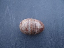 Oeuf collection marbre d'occasion Oeuf collection marbre d'occasion  Bourg-Madame