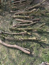 Eibe holz drechselholz gebraucht kaufen  Bensheim