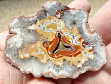Agate polished natural for sale  Marysville
