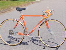 1972 schwinn voyageur for sale  Chesapeake