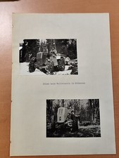 Foto nordtrak stier gebraucht kaufen  Spraitbach