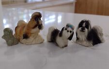 Lot shih tzu for sale  San Diego