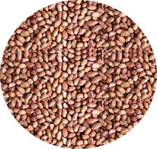 Whole peanuts 250g for sale  LEIGHTON BUZZARD