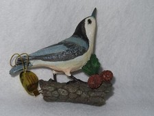 White breasted nuthatch for sale  Delaware