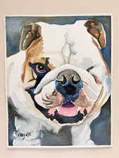 bulldogs pets english for sale  Greeley