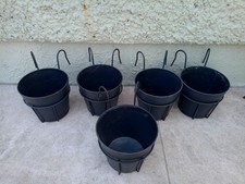Ikea vitlök plant for sale  ISLEWORTH