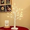 Delichter albero luminoso usato  Italia