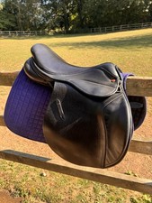 Saddle company 16.5 for sale  WINCHESTER