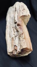 Fossil petrified cherry for sale  Woodside