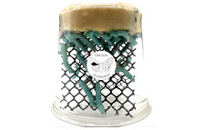 Live hornworms inch for sale  Bend