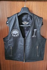 Gilet uomo blouson usato  Cameri