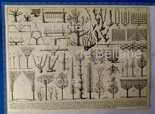 Planche formes taille d'occasion  Beaumont-de-Lomagne