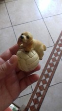 Cane pallone fondo usato  Napoli