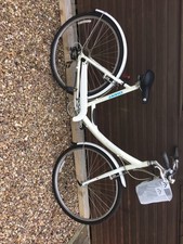 Giant expression ladies for sale Giant expression ladies for sale  LEICESTER