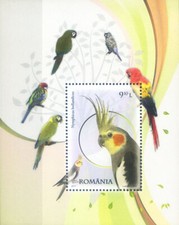 Fauna. pappagalli 2011. usato  Milano