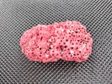 Natural red coral for sale  WALLINGTON