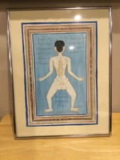 Thai massage anatomical d'occasion  Expédié en Belgium