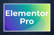 Elementor pro wordpress d'occasion  Expédié en Belgium