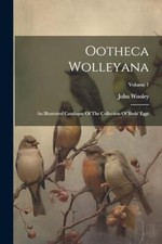 Wooley ootheca wolleyana for sale  SWINDON