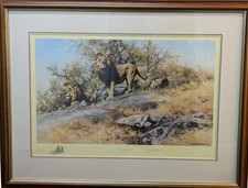 Two gentlemen savuti for sale  UK