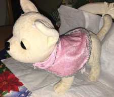 chi chi love chihuahua gebraucht kaufen chi chi love chihuahua gebraucht kaufen Leipzig