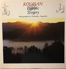 Koyasan esoteric scenery. usato  Reggello