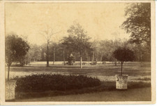 Parc vintage albumen d'occasion  Pagny-sur-Moselle