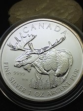 canadian moose for sale canadian moose for sale Struthers