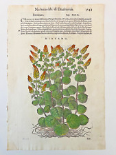 stampe botanica mattioli usato  Treviso