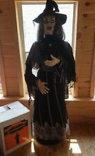 Gemmy life size for sale  Claremont