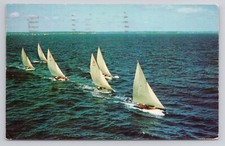 Yacht racing sail for sale  Elgin