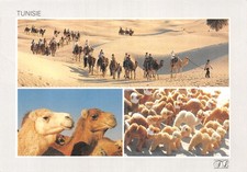 Tunisia caravans d'occasion  Expédié en Belgium