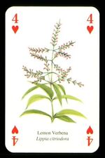 Playing card herb for sale  EASTBOURNE