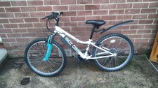 Apollo vivid girls for sale  CRAIGAVON