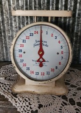Antique american family for sale  Snyder
