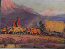 Covered wagon cows for sale  Newark