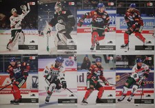 Del playercards 2024 gebraucht kaufen  Dossenheim