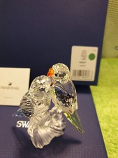 Swarovski wellensittich 680627 gebraucht kaufen  Augsburg