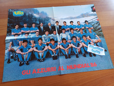 Poster gli azzurri usato  Castelfranco Emilia