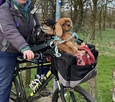 Friends tour bicycle for sale  CARLISLE
