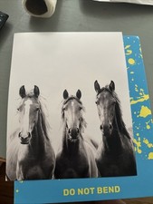 Horse yellow bird for sale  Hiram