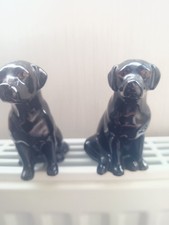 Black labrador salt for sale  PRESTON