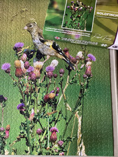 Goldfinch british wildlife for sale  TEWKESBURY
