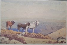 Allen seaby 1867 for sale  NORWICH