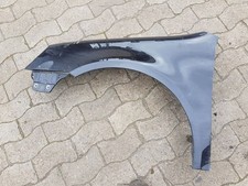 Kotflügel links lackiert gebraucht kaufen  Bad Oeynhausen