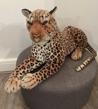 Extra large leopard for sale  PRESTON